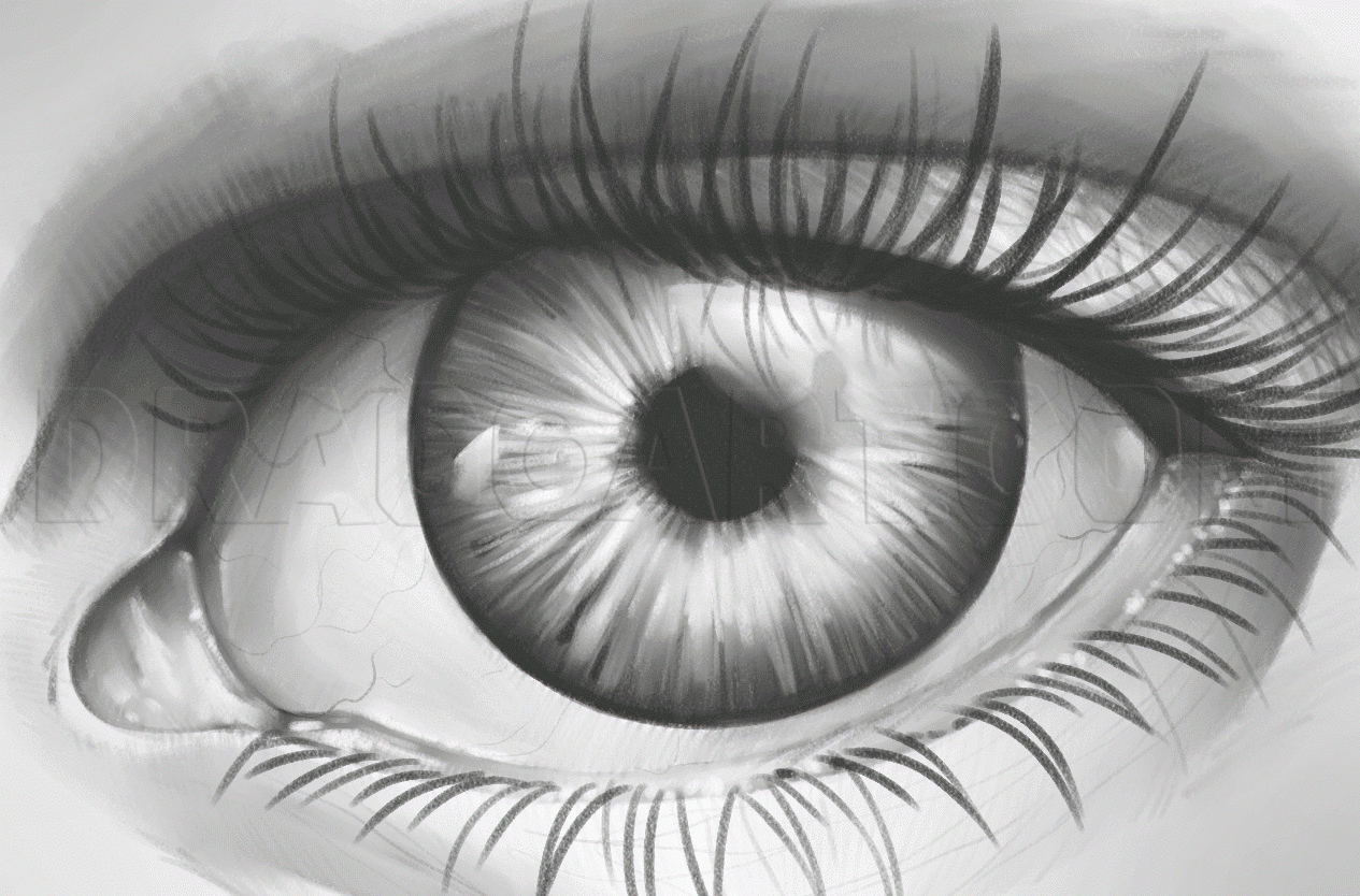 How To Shade An Eye Drawing Step By Step By Dawn DragoArt