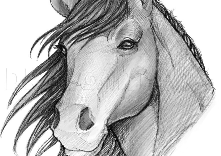 How To Sketch A Horse Drawing Step By Step By Dawn DragoArt
