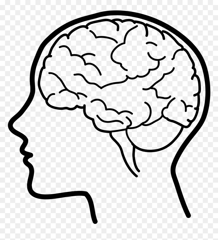 Human Brain Clip Art Simple Human Brain Drawing HD Png Download 
