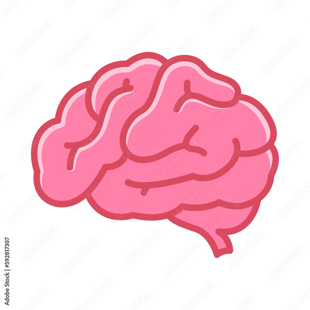drawing of brain easy