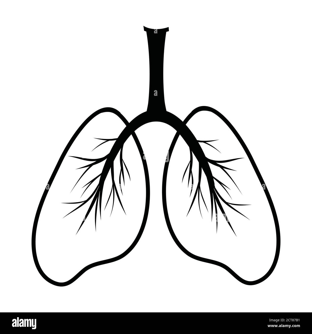 Human Lungs Silhouette Simple Schematic Illustration Sketch 