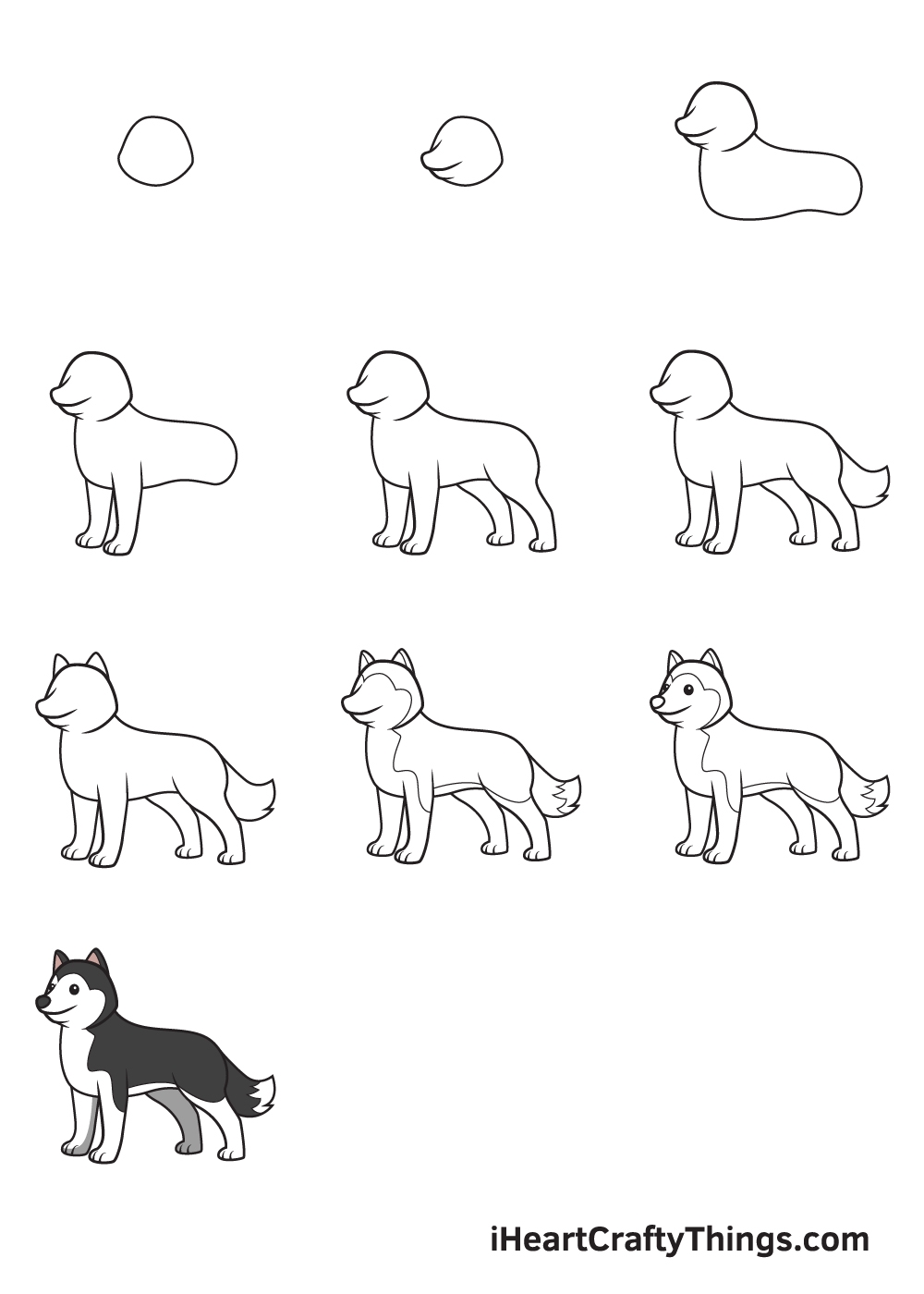 Husky Drawing How To Draw A Husky Step By Step