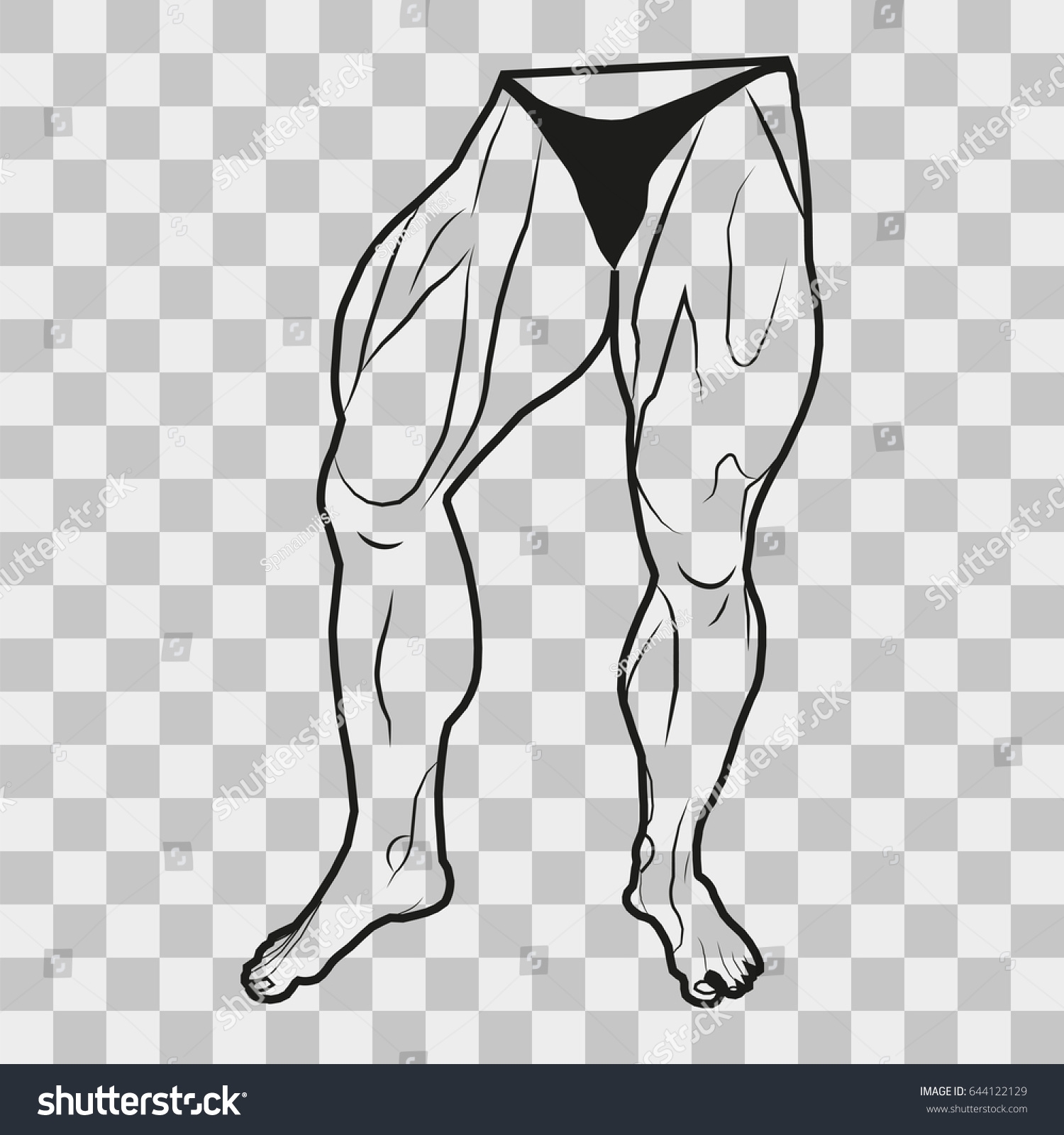 Image Lower Body Man Muscles Legs Stock Illustration 644122129 Shutterstock