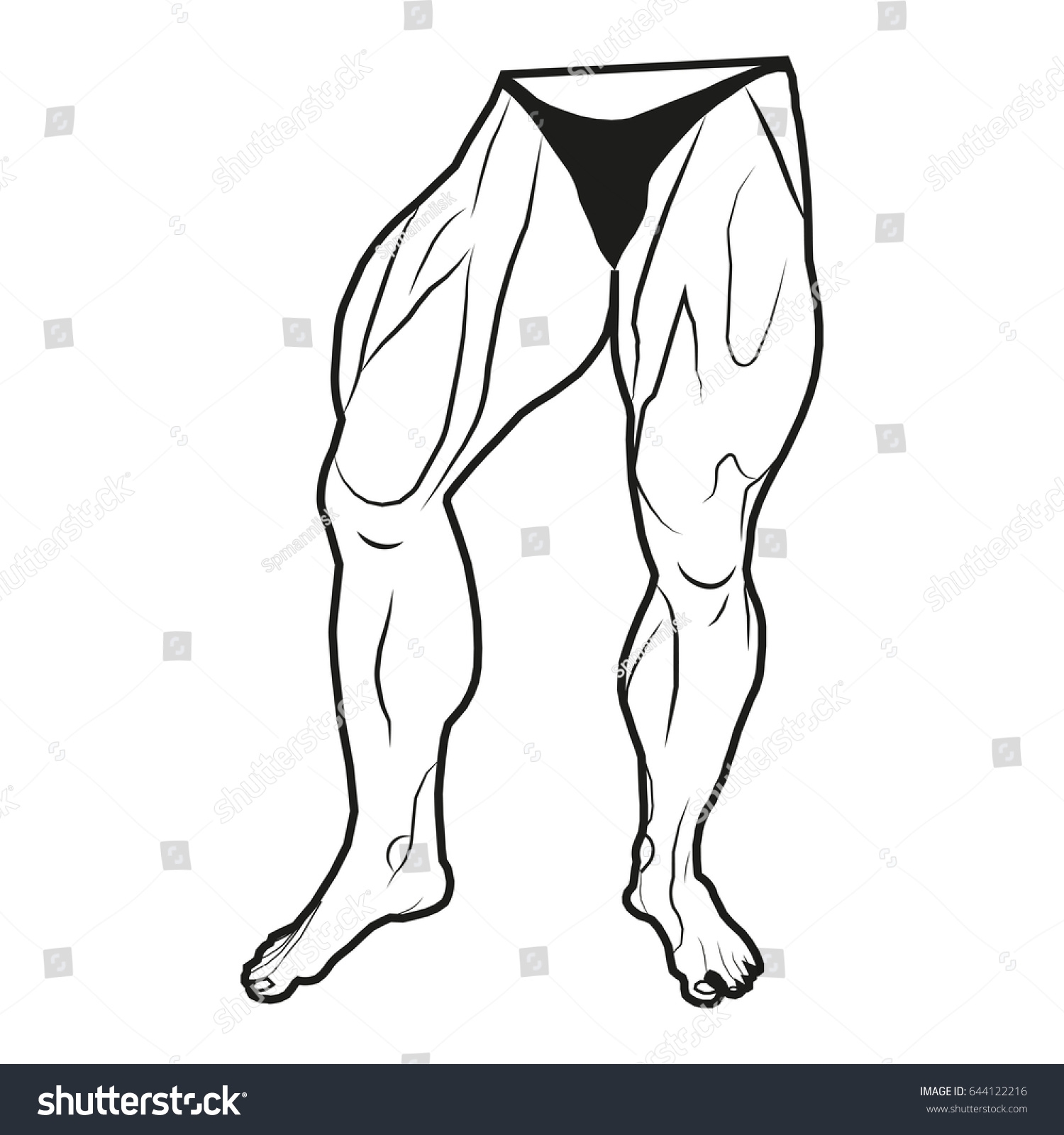 Image Lower Body Man Muscles Legs Stock Illustration 644122216 Shutterstock