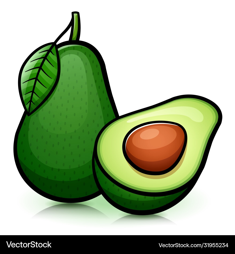 Isolated Avocado Drawing Royalty Free Vector Image