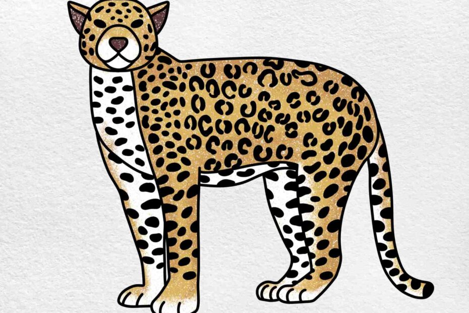 Jaguar Drawing HelloArtsy