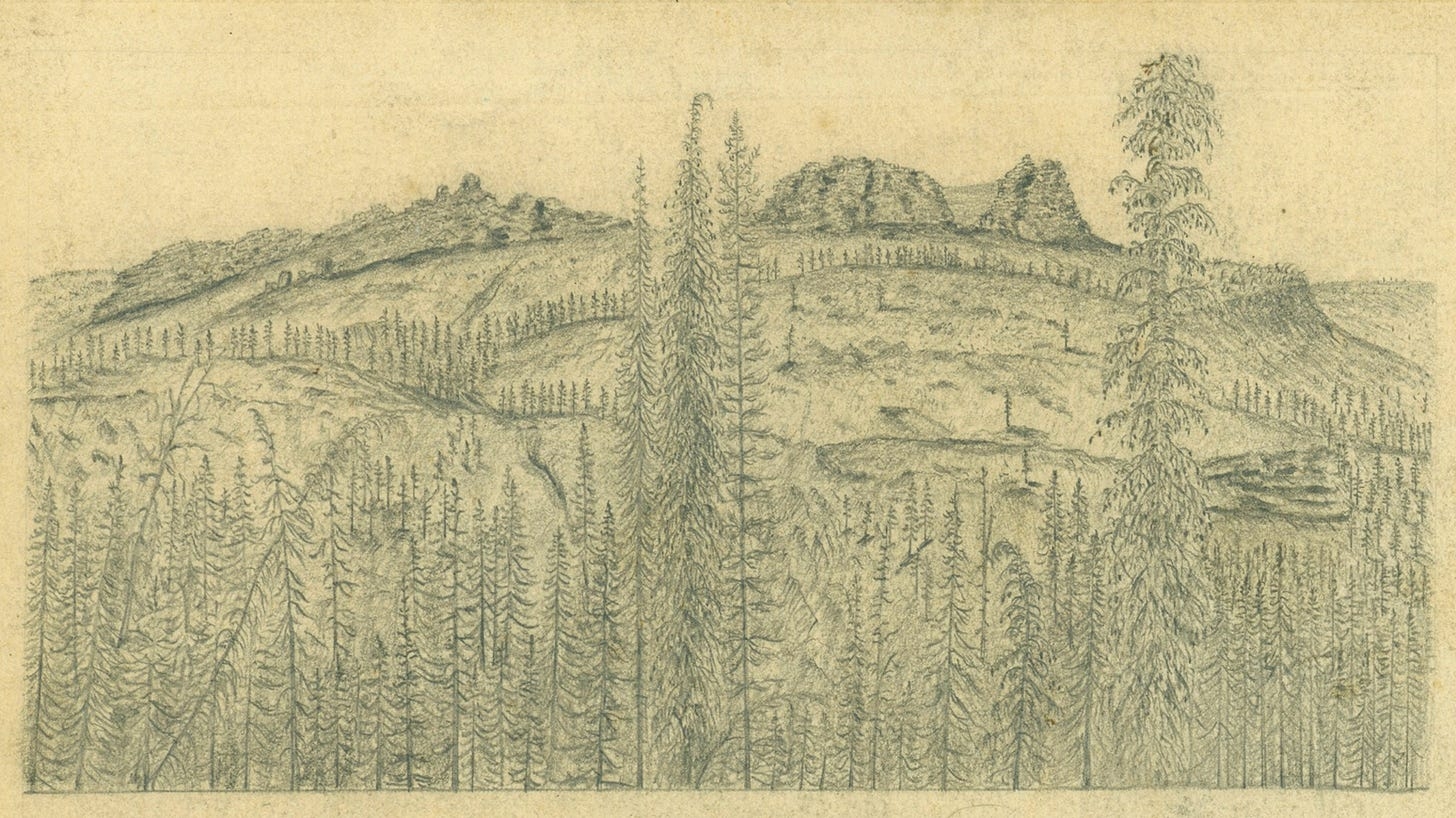 john muir view on drawing
