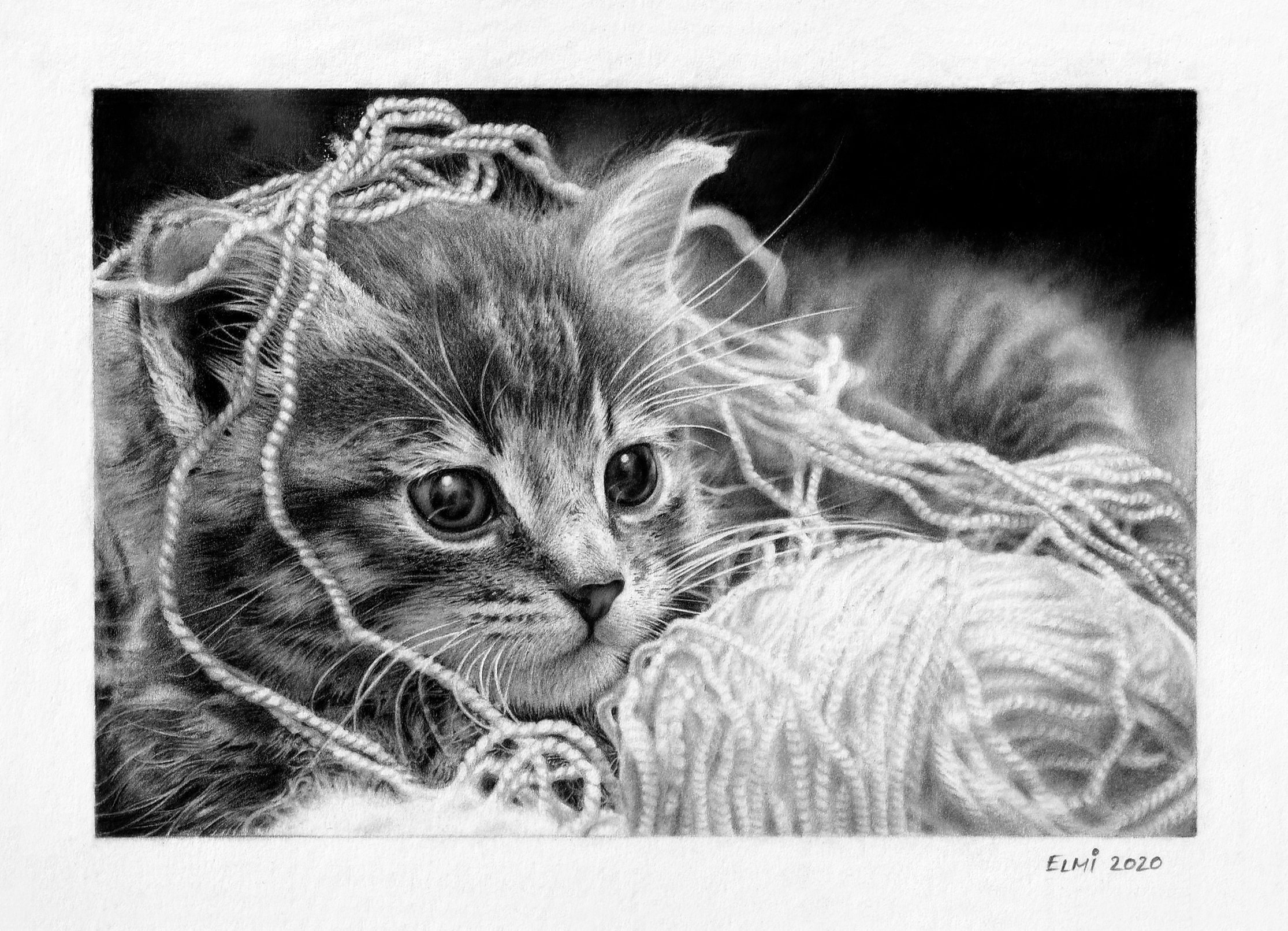 black and white cat drawing