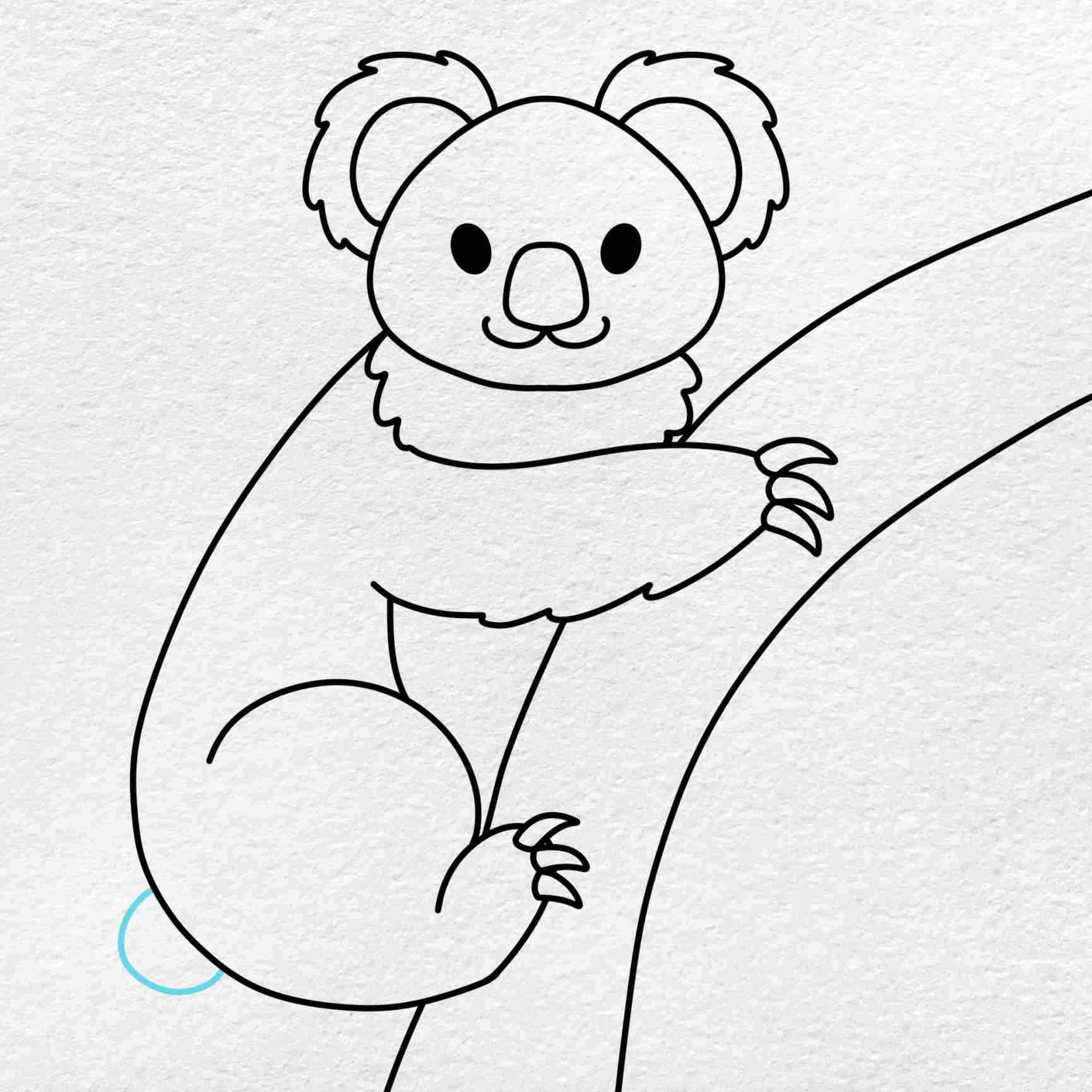 Koala Drawing HelloArtsy