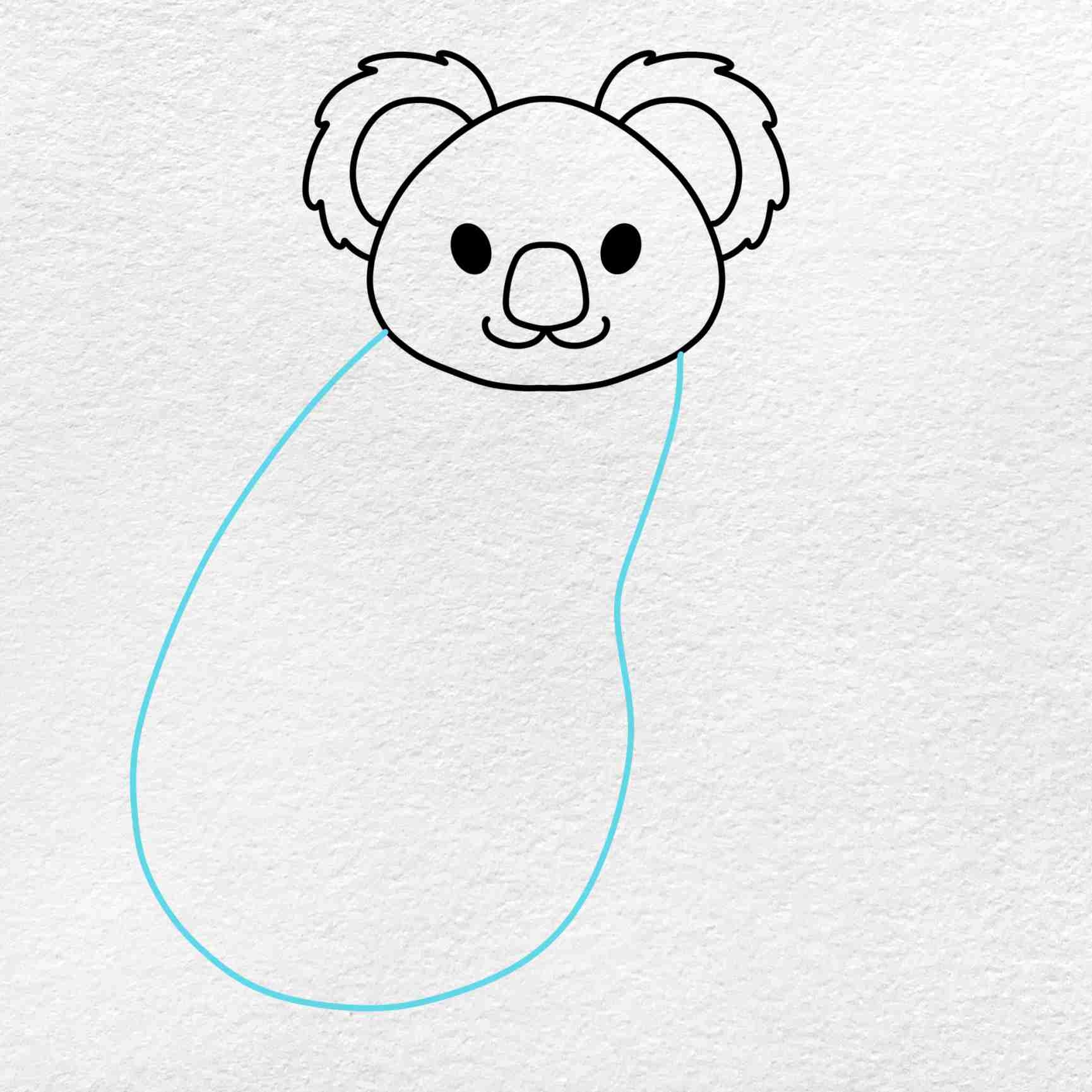 how to draw a koala