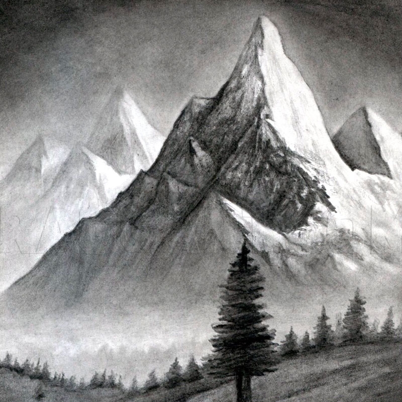 Landscape Drawing Community Engagement