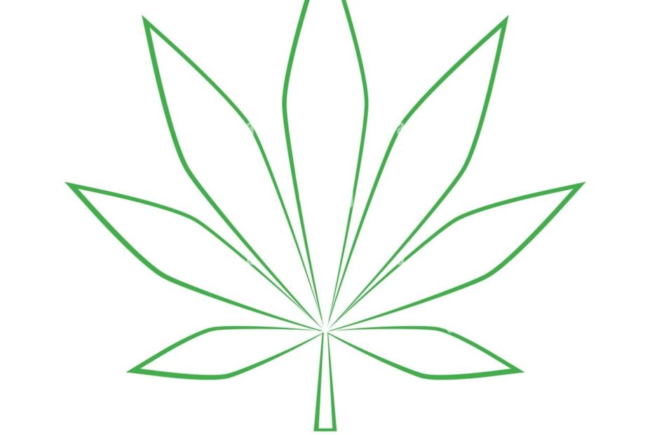 Leaf Drawing Hi res Stock Photography And Images Alamy