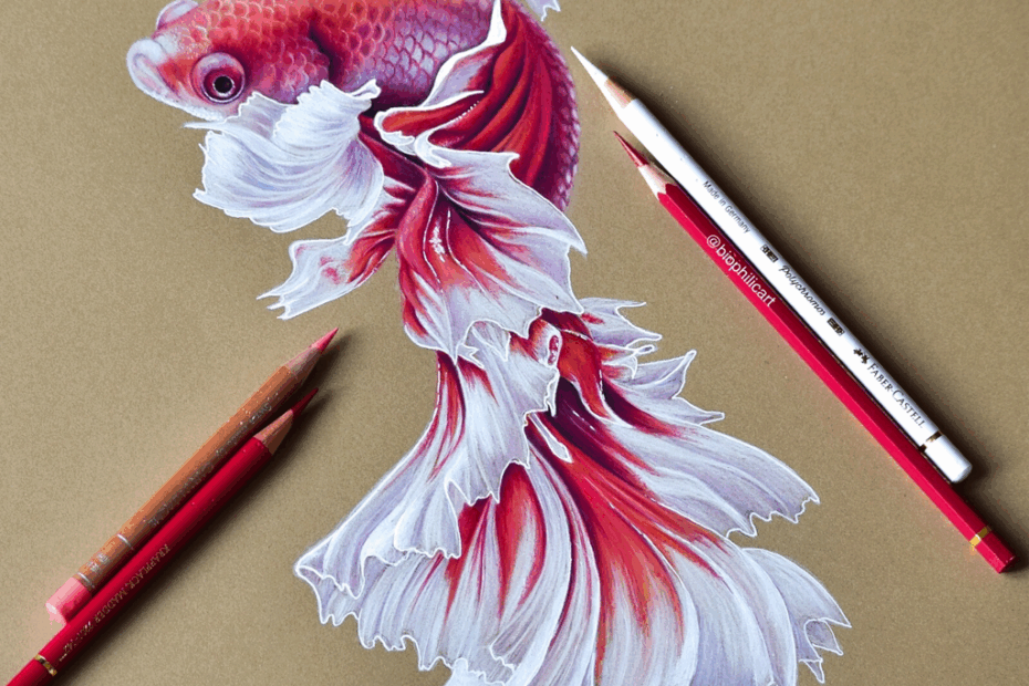 Legion Paper Choosing A Paper For Colored Pencil Art