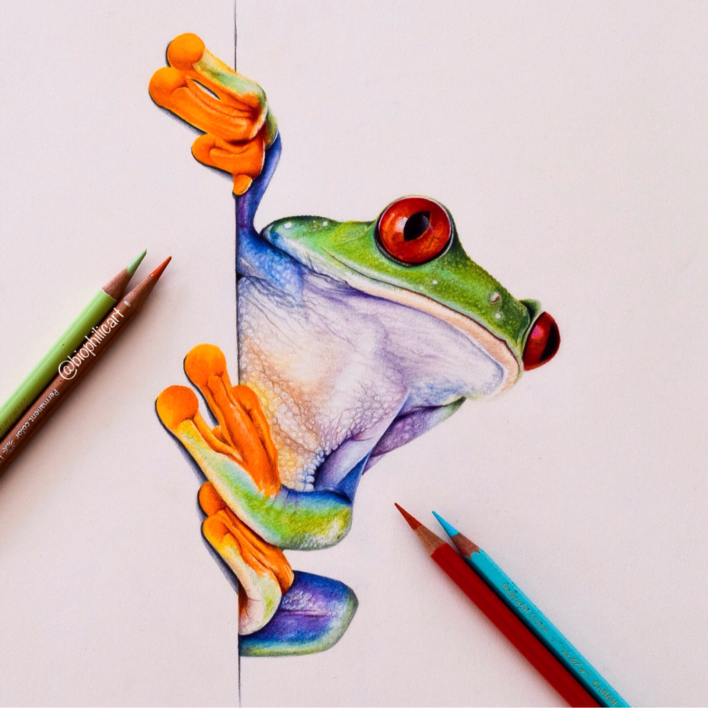Legion Paper Choosing A Paper For Colored Pencil Art