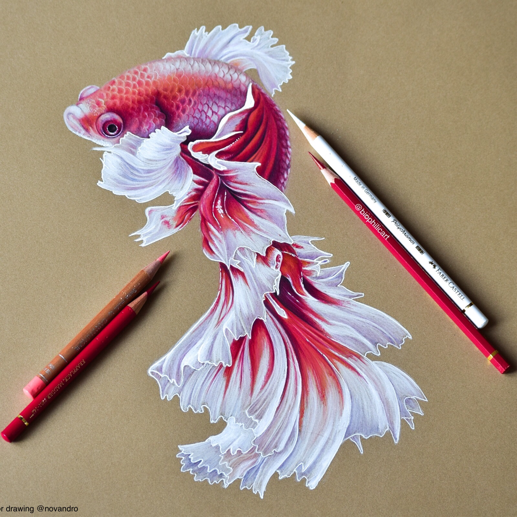 Legion Paper Choosing A Paper For Colored Pencil Art