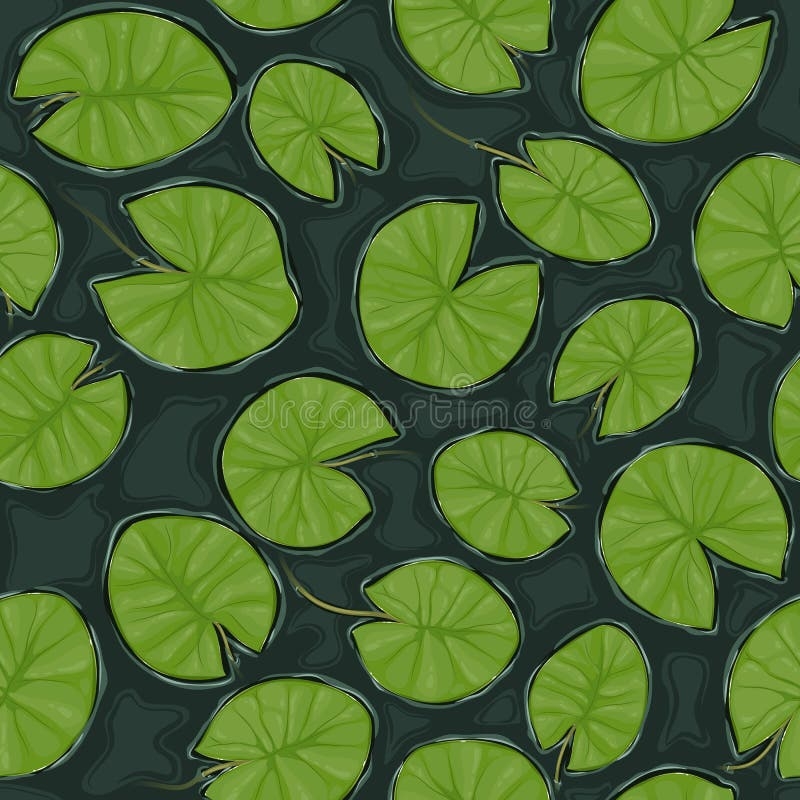 Lily Pads Drawing Stock Illustrations 948 Lily Pads Drawing 