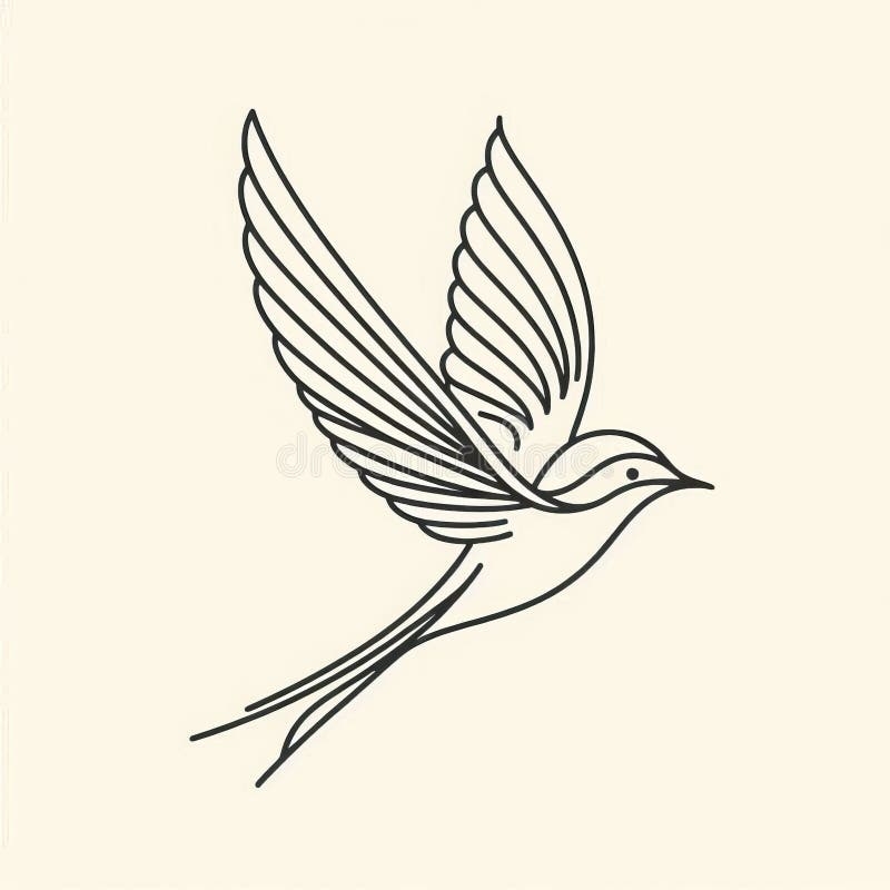 bird soaring drawing