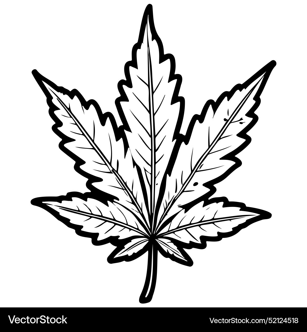 Line Cartoon Weed Leaf Drawing Outline Royalty Free Vector