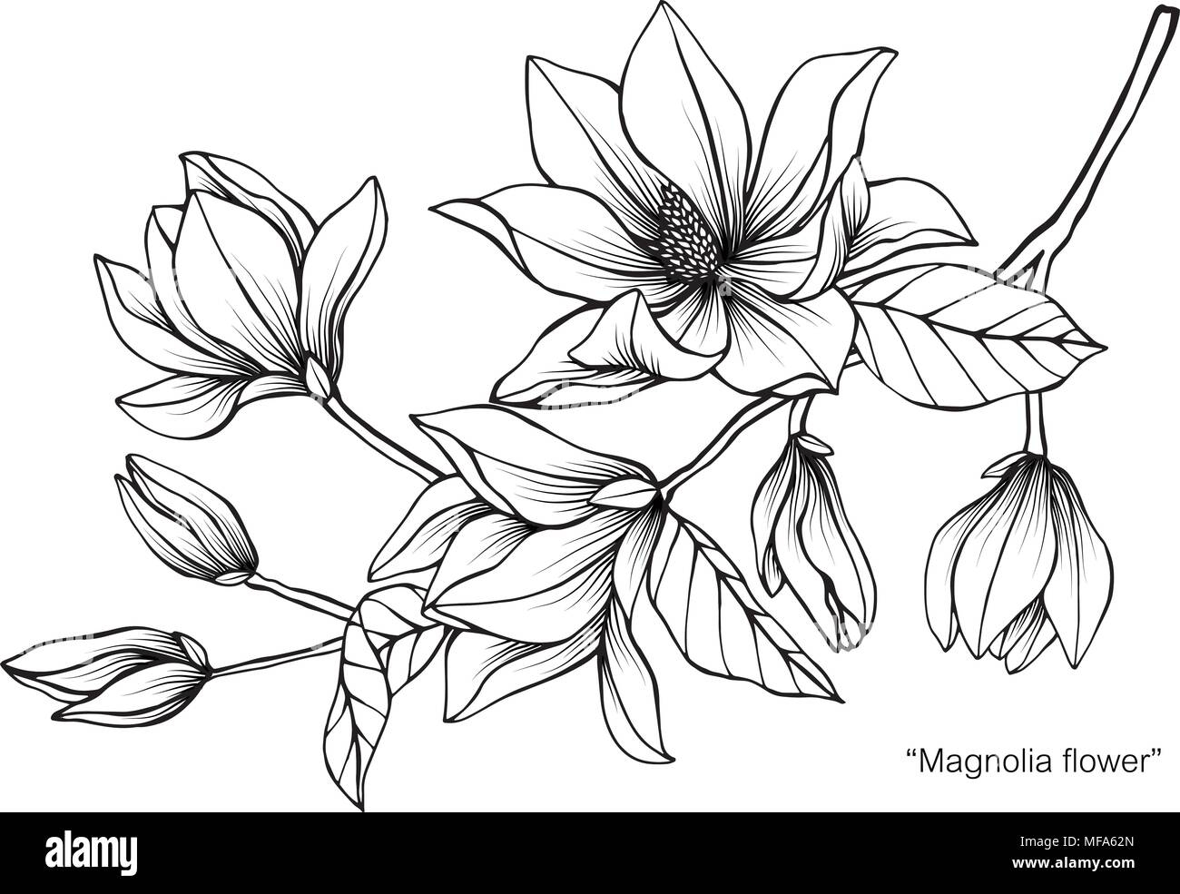 floral line drawing