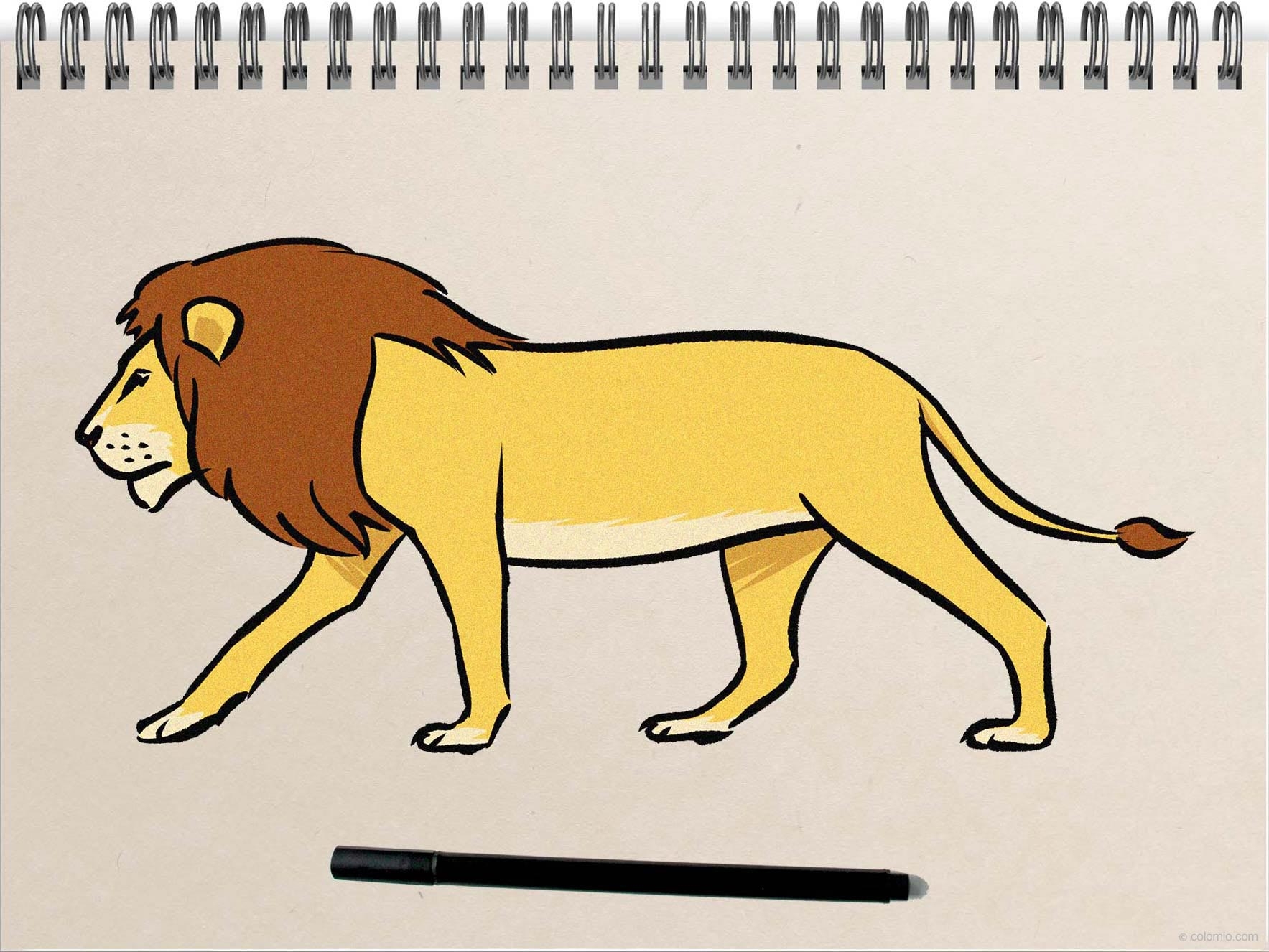 Lion Drawing Ideas How To Draw A Lion