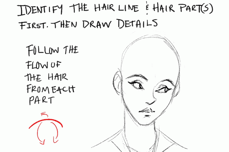 Lion Girl s Cheatsheet For Hair Lion Girl s Lost And Found