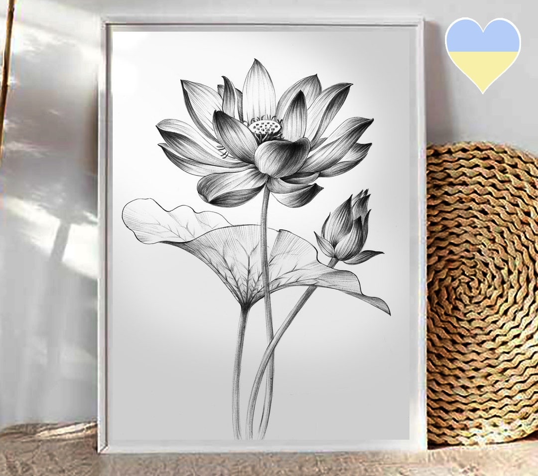 Lotus Sketch Botanical Print Digital File JPEG Hygge Art Print A1 Large Line Drawing Black White Scandinavian Wall Decor Etsy