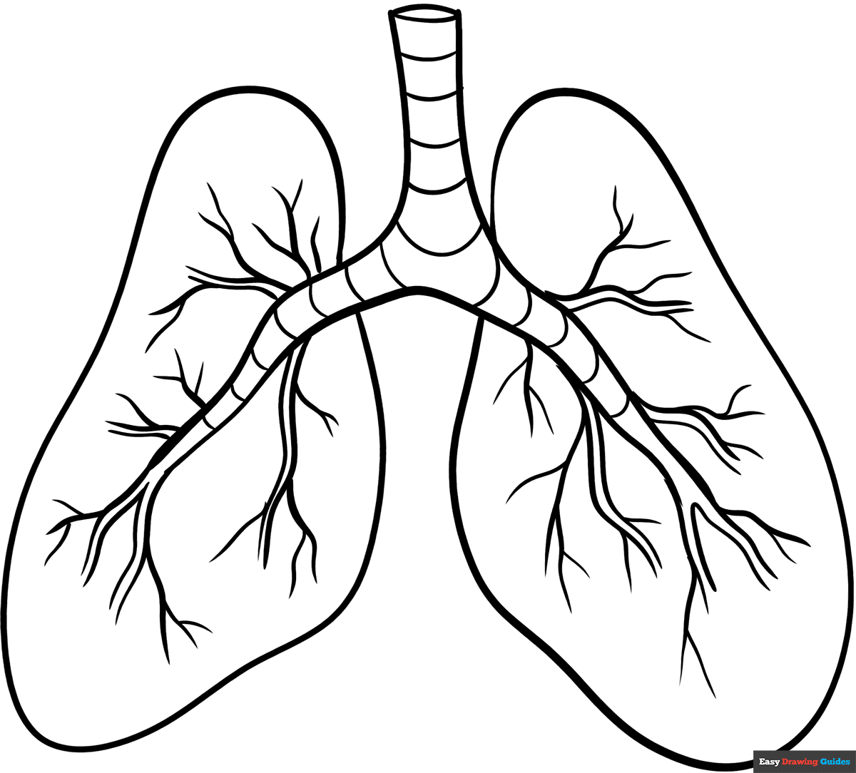 lungs drawing easy