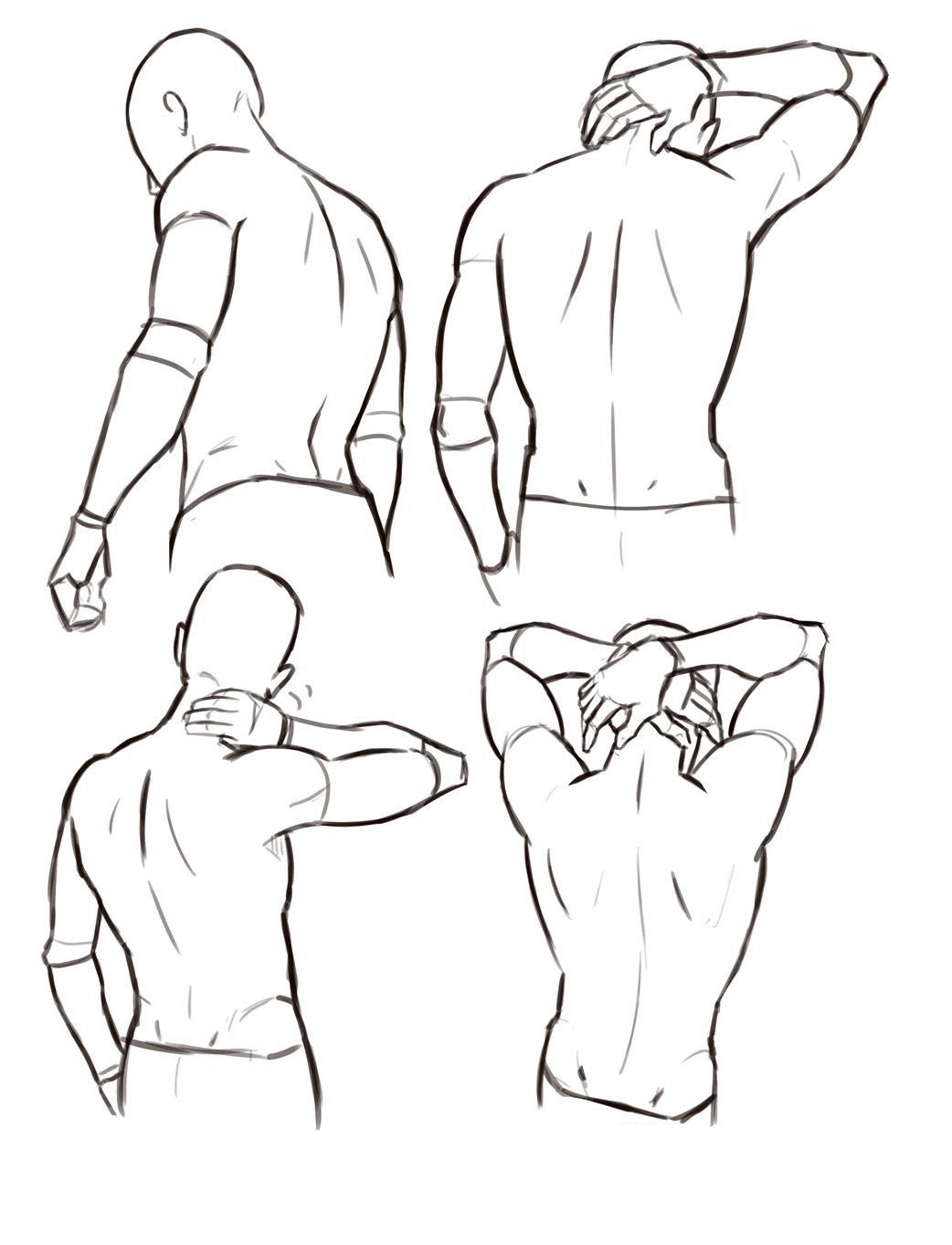 Male Back Torso Drawing Reference And Sketches For Artists