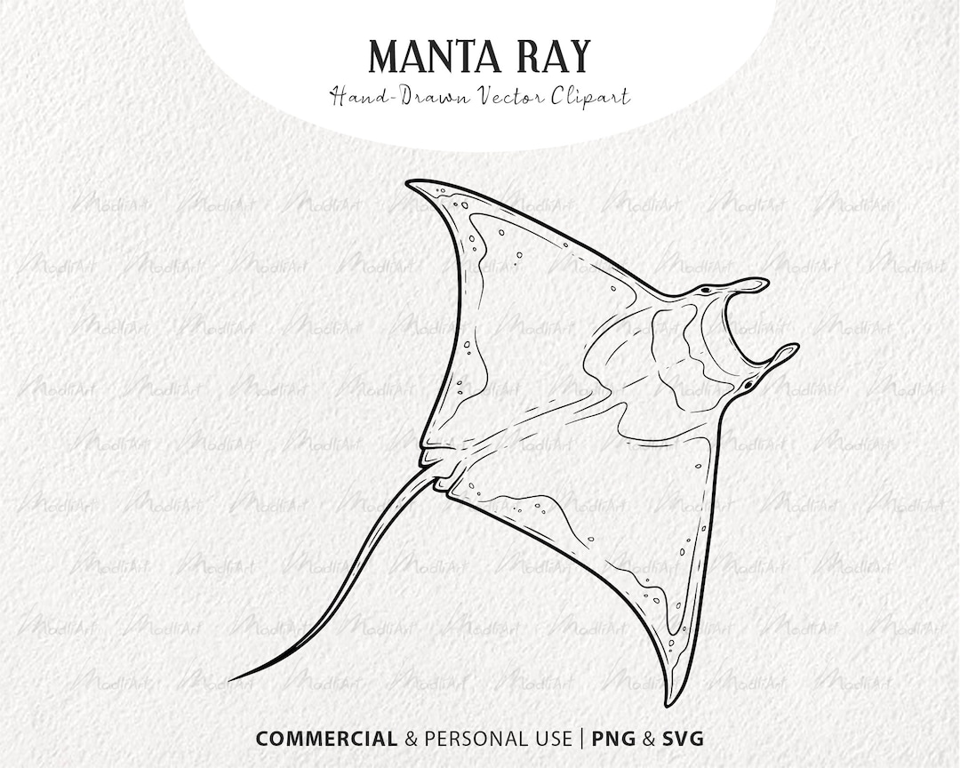 Manta Ray SVG Clipart Ray Fish Svg Illustration Stingray Vector Art Shark Drawing Ocean Animal Line Art Commercial SVG PNG Etsy