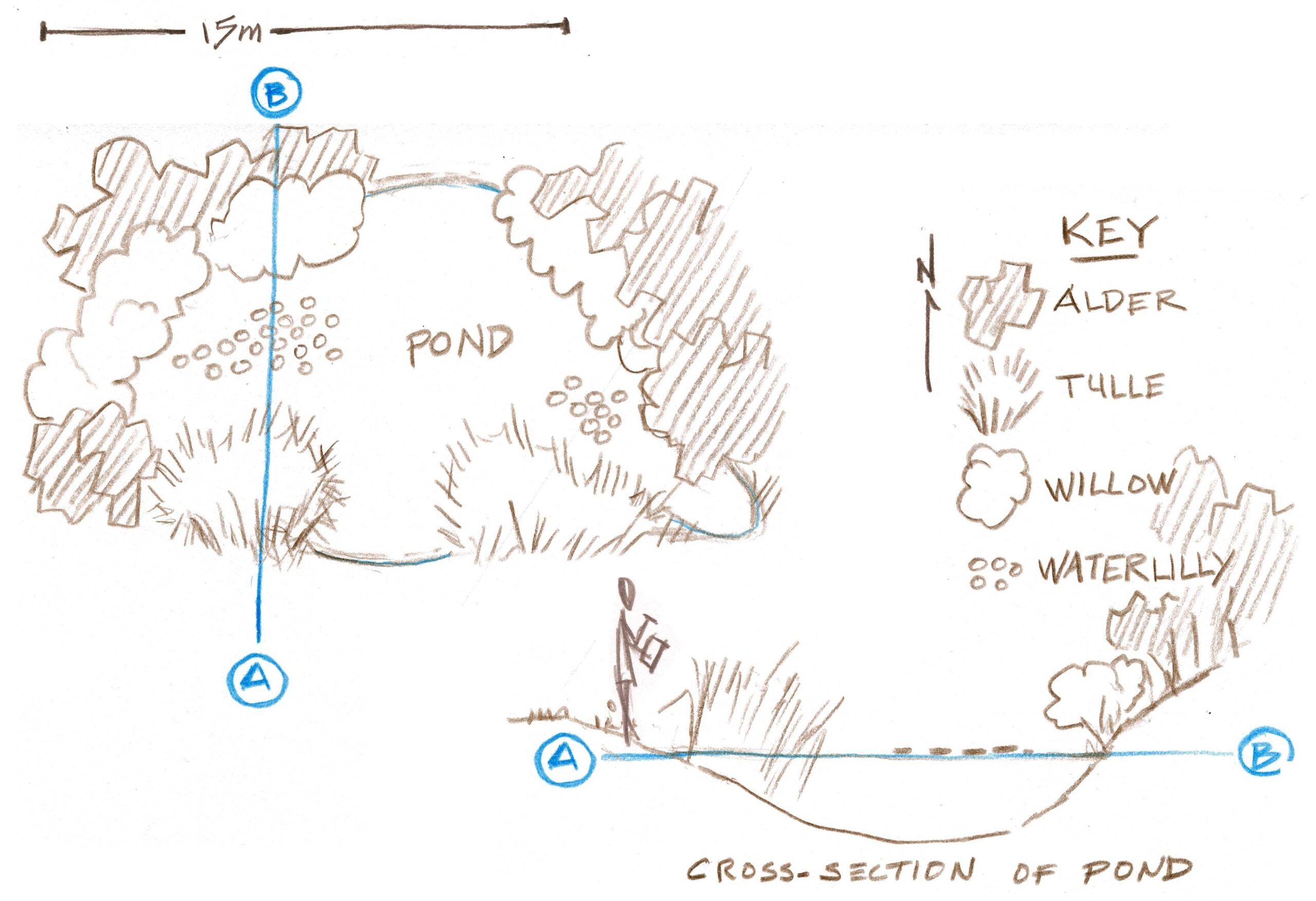 Mapping Top Views And Cross Sections John Muir Laws