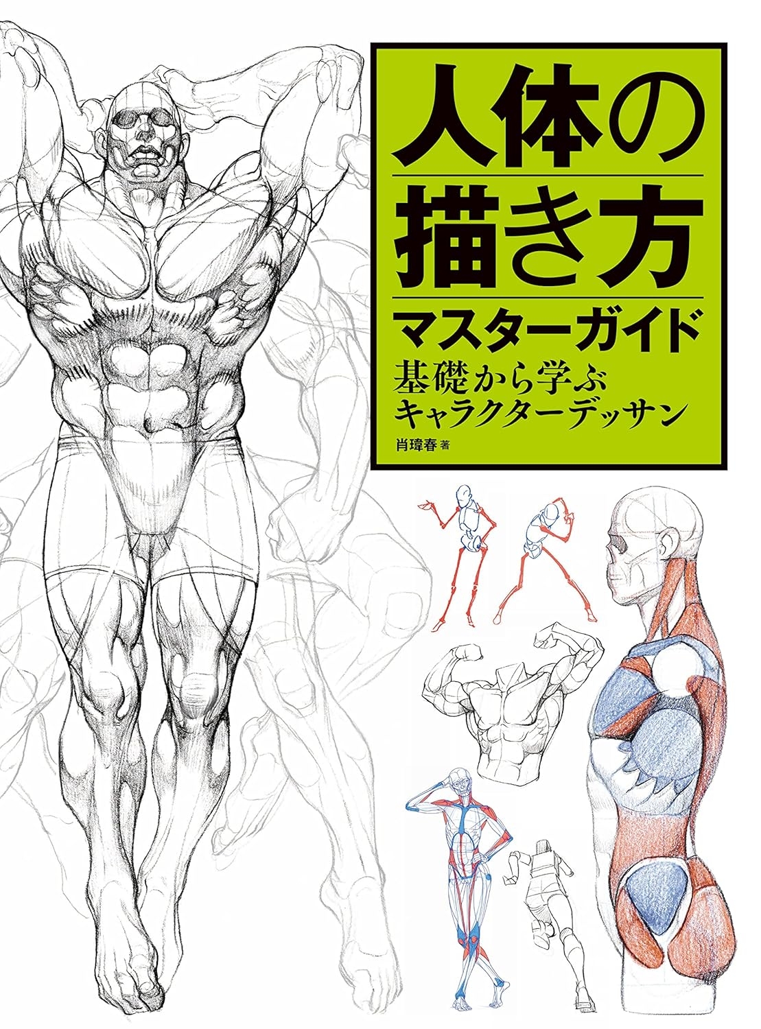 Master Guide To Drawing The Human Body By Xiao Weichun Japanese 