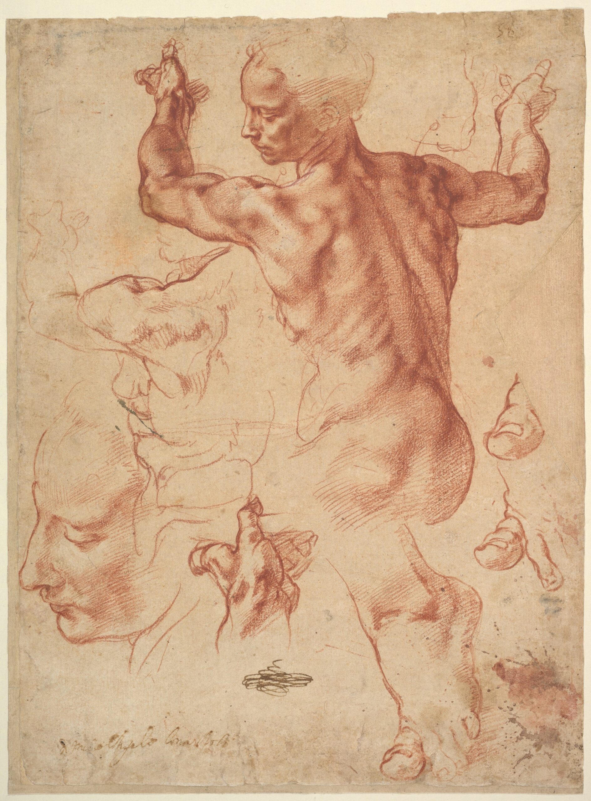 Michelangelo Buonarroti Studies For The Libyan Sibyl recto Studies For The Libyan Sibyl And A Small Sketch For A Seated Figure verso The Metropolitan Museum Of Art