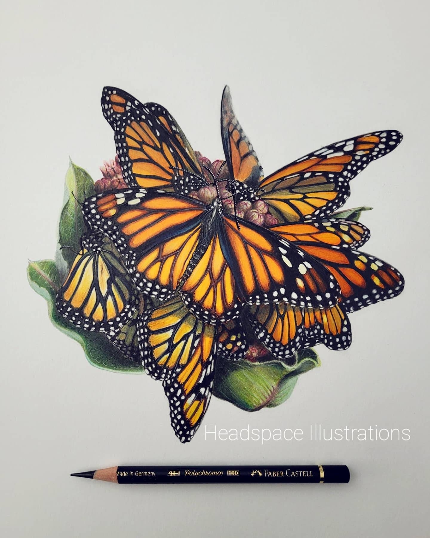 Monarch Butterfly And Milkweed Art Print By Headspace Illustrations Etsy