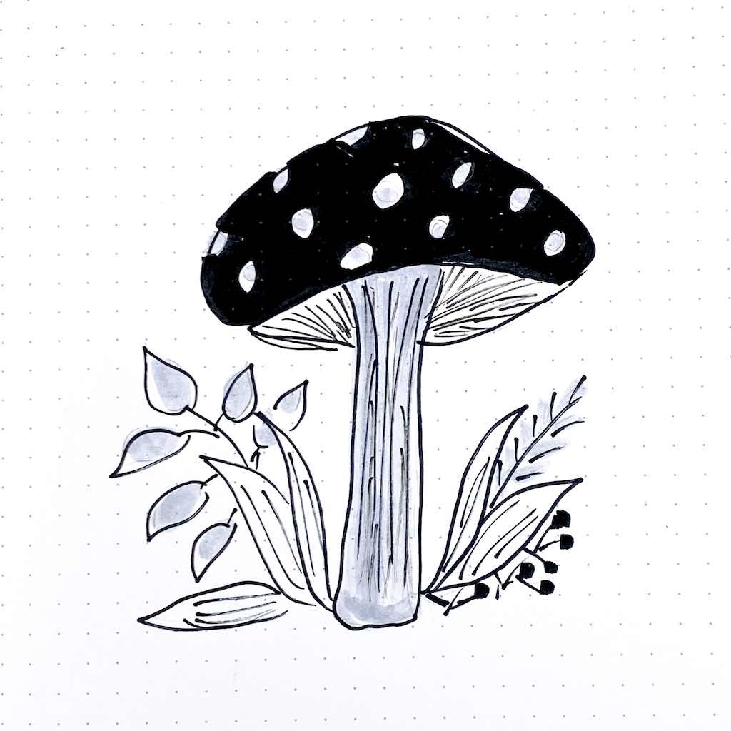 mushroom draw easy
