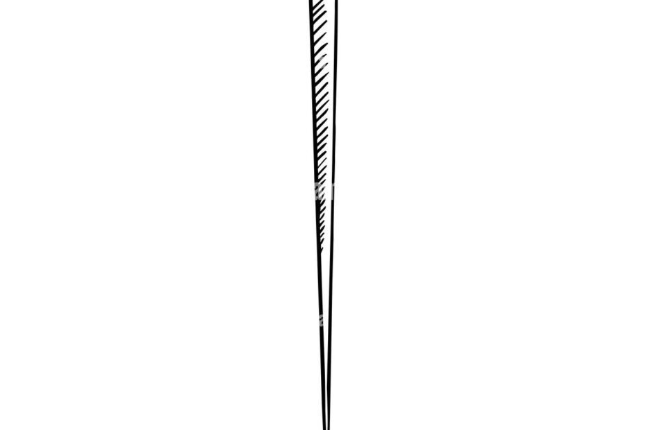 Needle Drawing Hand Drawn Doodle Gravure Vintage Style Sketch Illustration Stock Photo Alamy