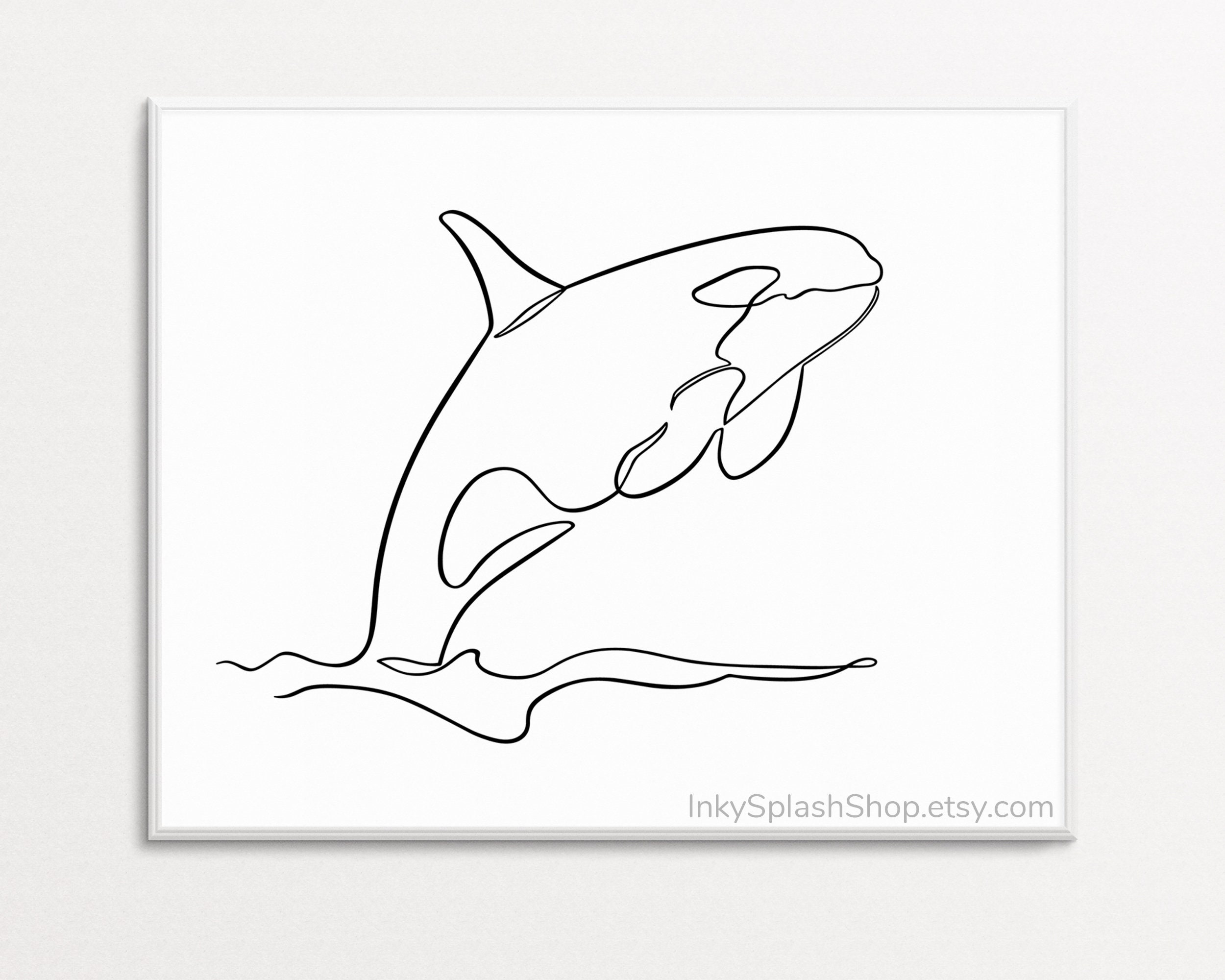 killer whale drawing