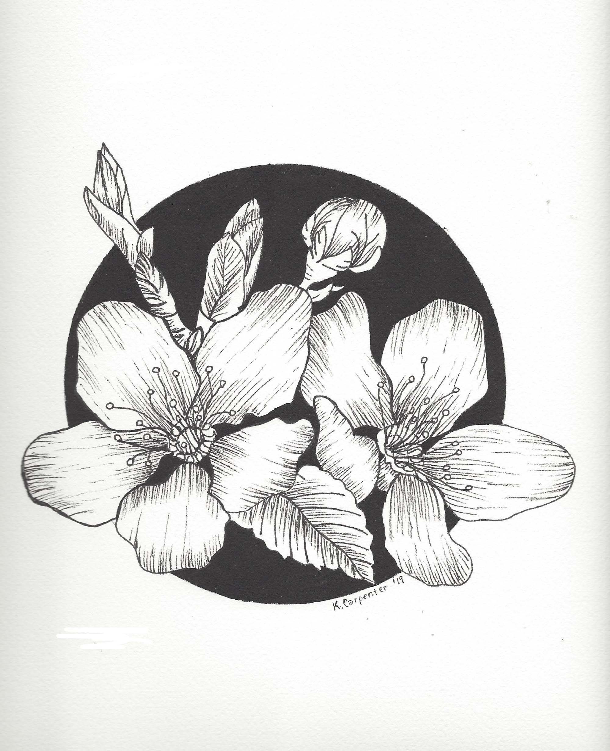 Original Pen U0026 Ink Drawing Of Flowers On Archival Watercolor Paper Botanical Flower