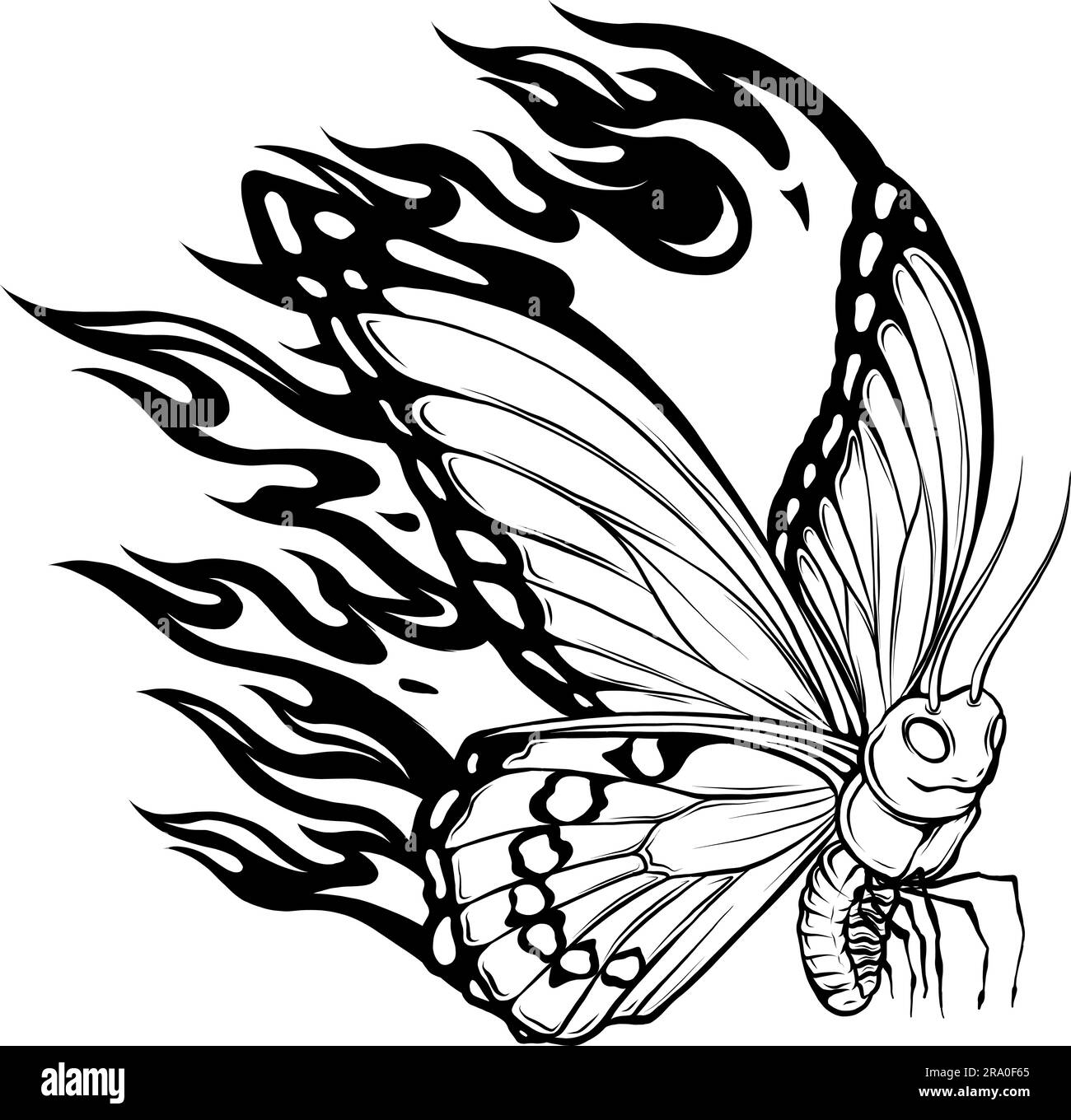 Outline Drawing Of Butterfly Vector Illustration Black Line Stock Vector Image U0026 Art Alamy