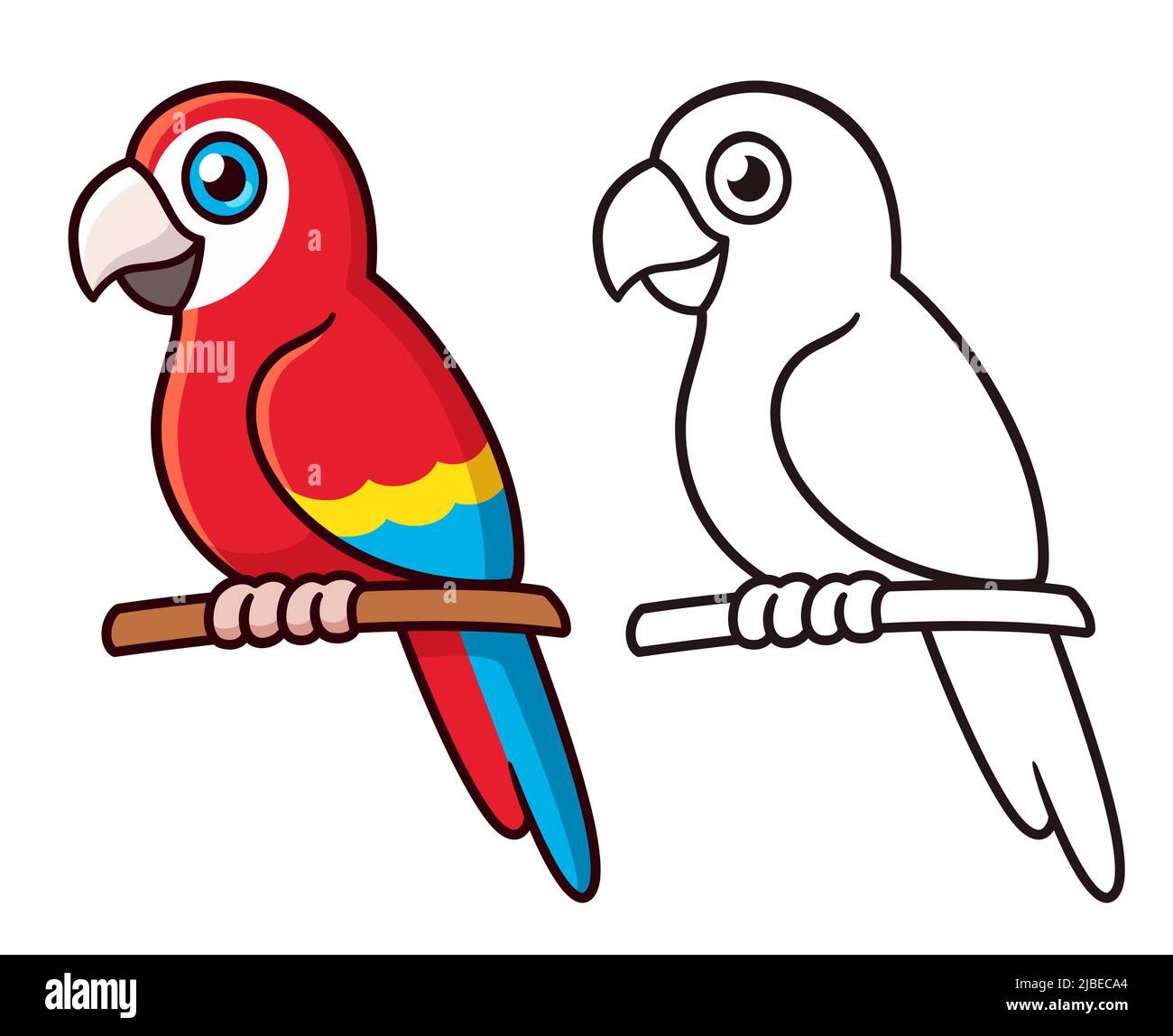 Parrot Drawing Hi res Stock Photography And Images Alamy