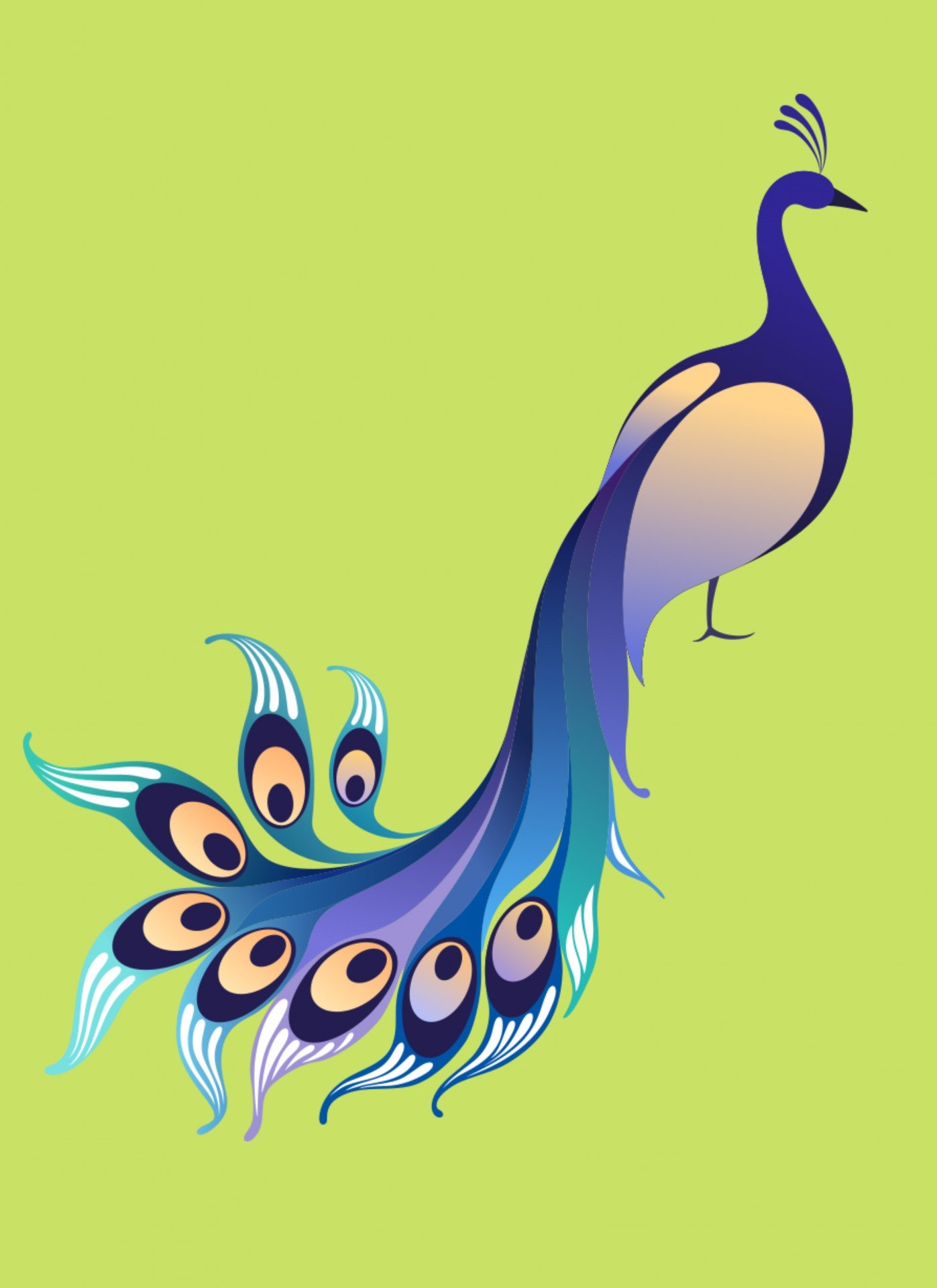 peacock drawing