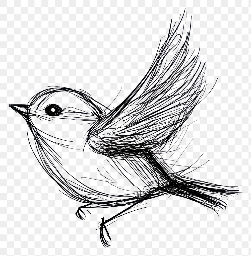 drawing art