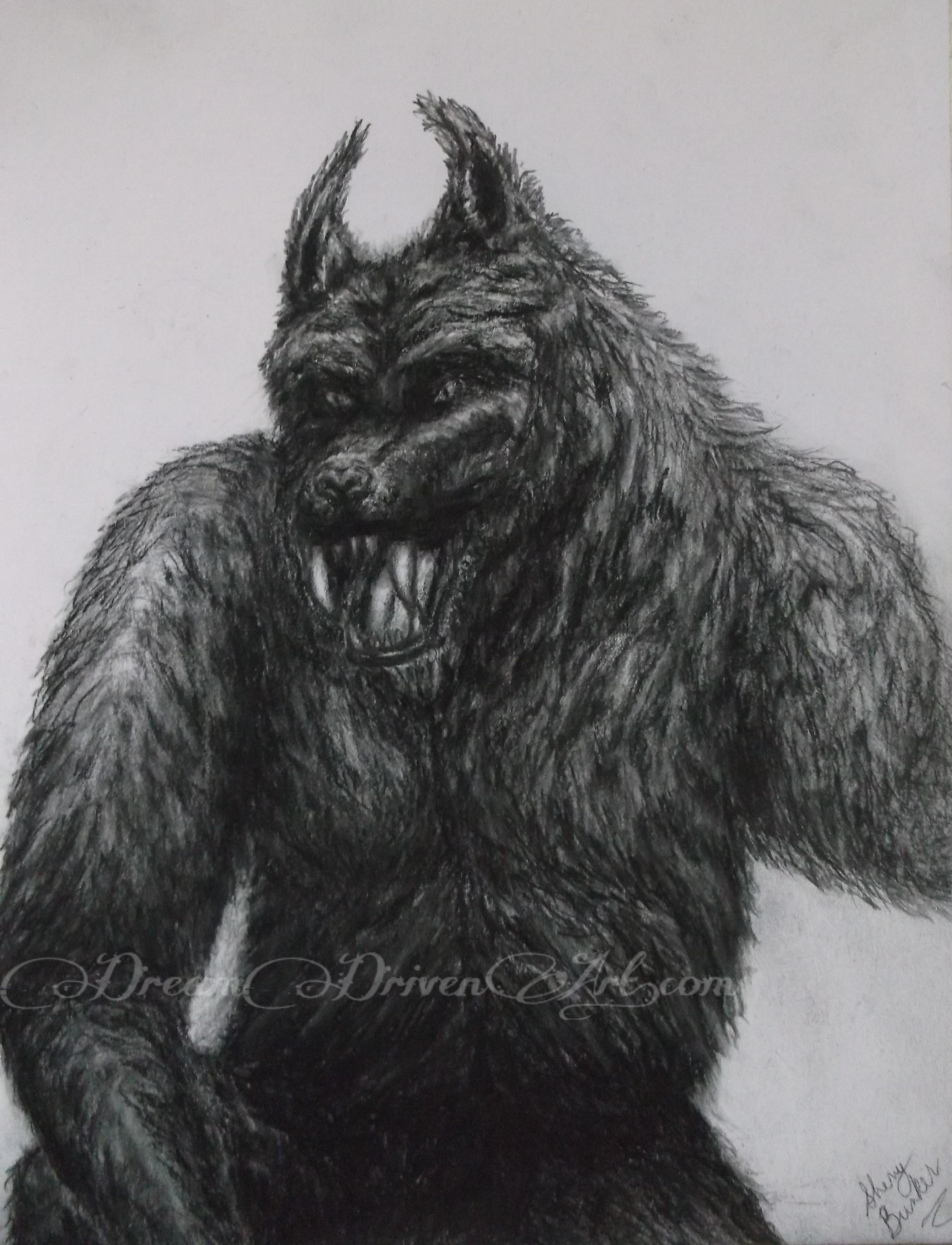 werewolf drawings