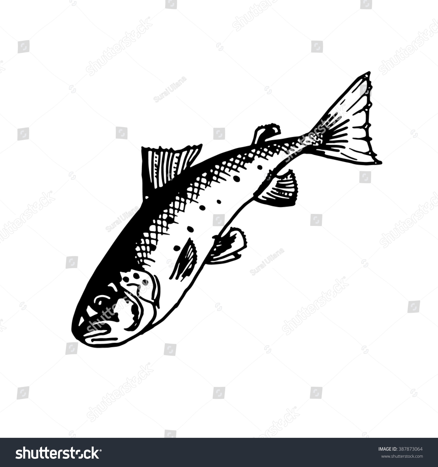 Photo U0026 Image Portfolio By Surai Uliana Shutterstock Contributor