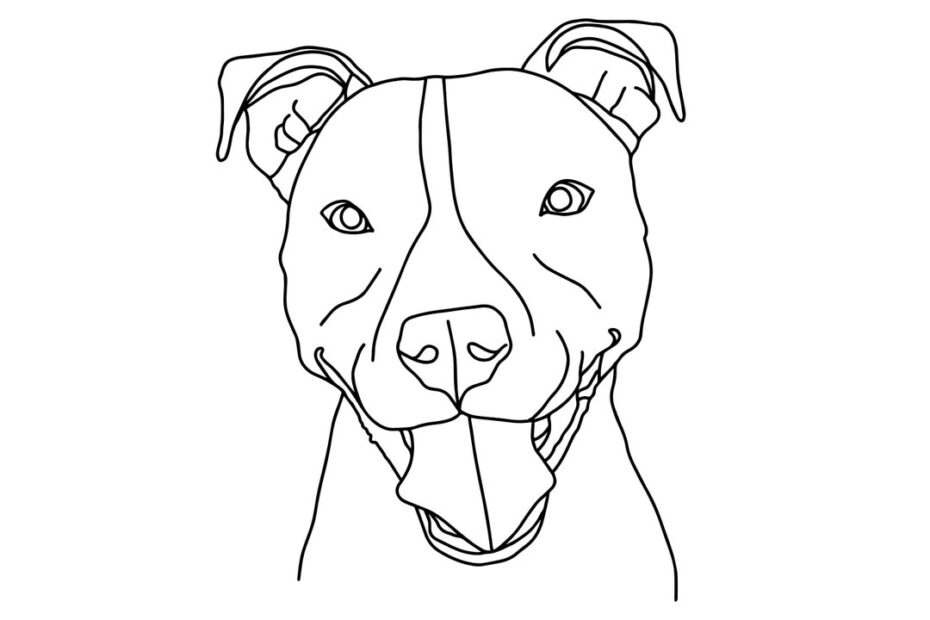 Pit Bull Illustration Pit Bull Drawing SVG Dog Illustration SVG Dog Drawing SVG Decal Files Cut Files For Cricut Svg Png Dxf Etsy