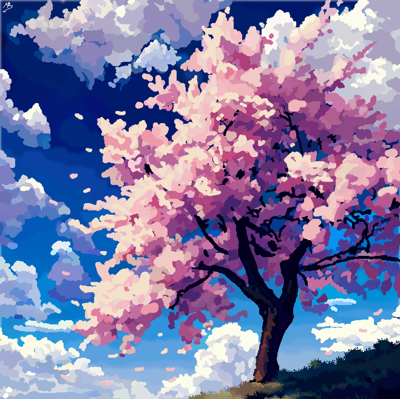 cherry tree drawing in blossom