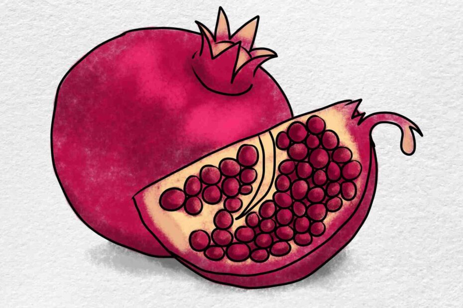 Pomegranate Drawing For Kids HelloArtsy