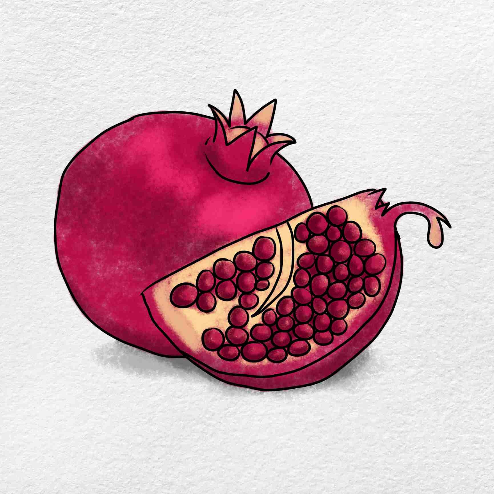 Pomegranate Drawing For Kids HelloArtsy
