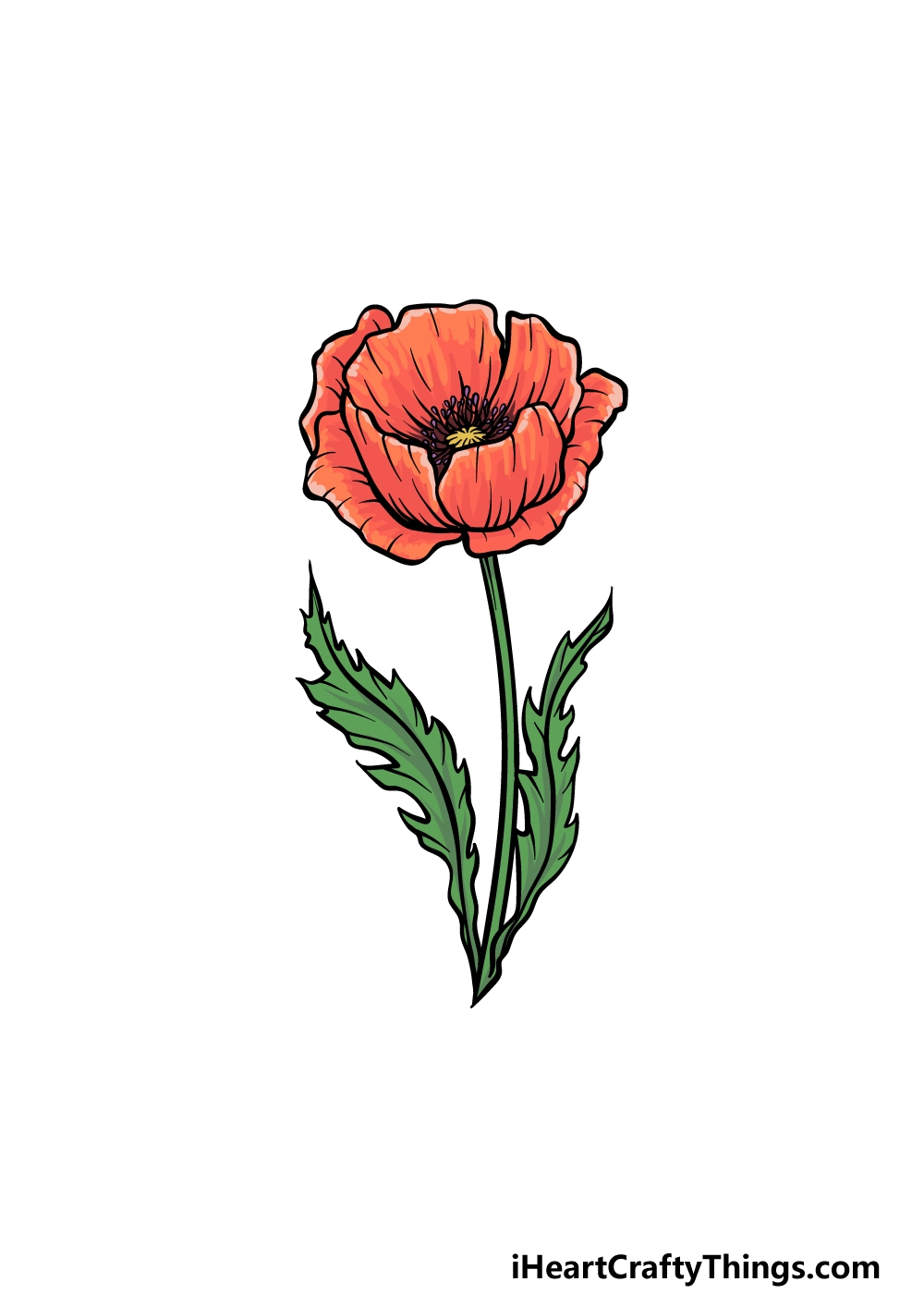Poppy Drawing How To Draw A Poppy Step By Step