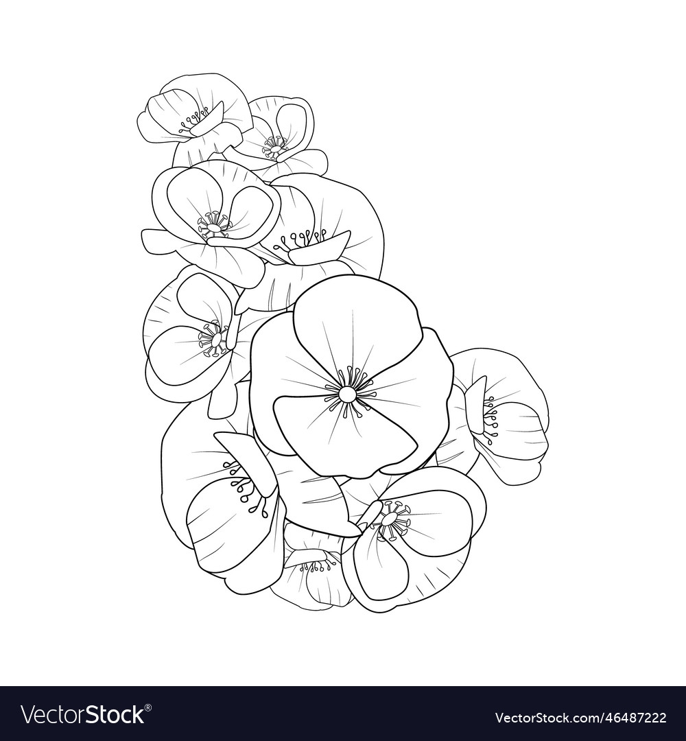 Poppy Flower Drawing Tattoo Line Art Royalty Free Vector