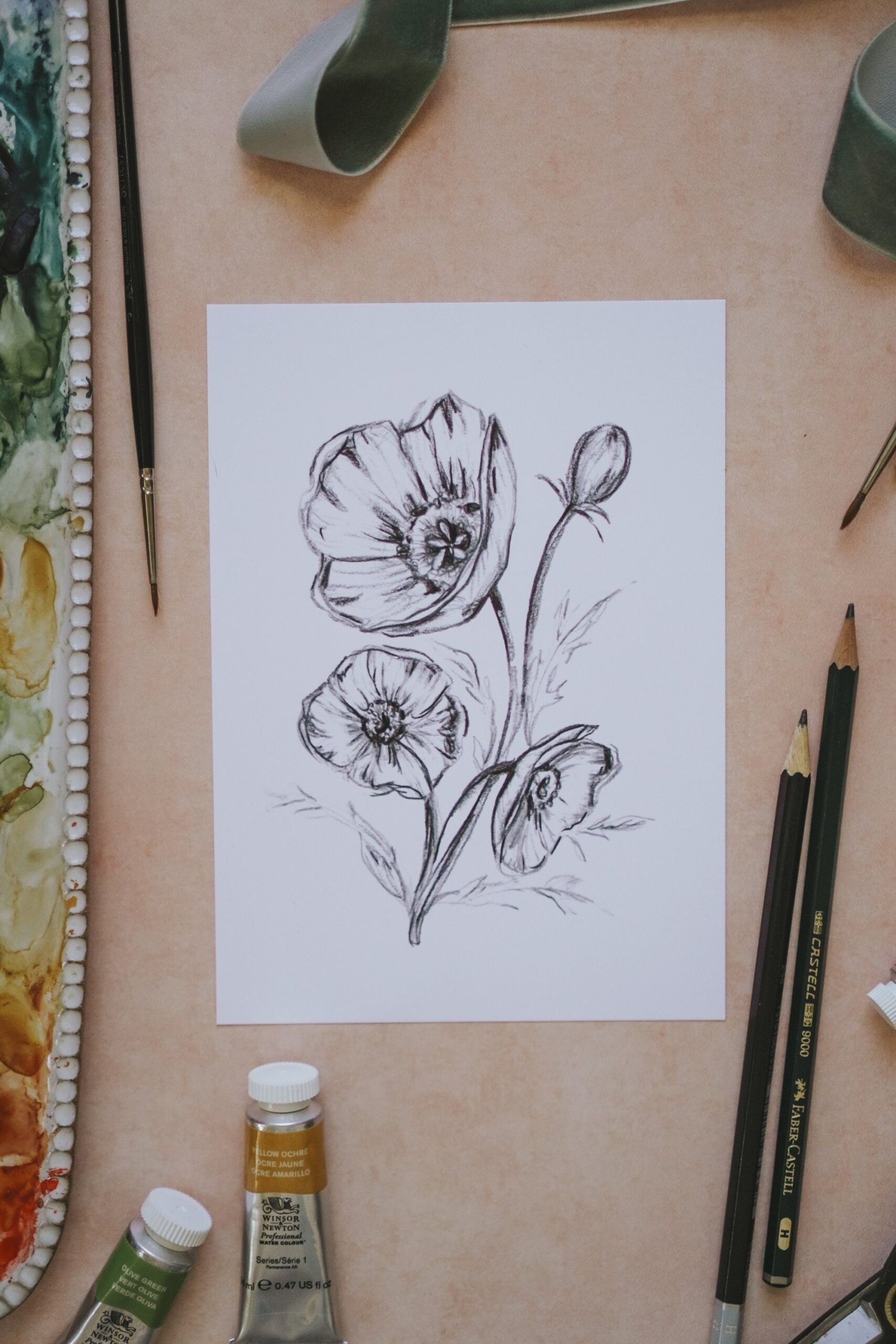 poppy flower drawing